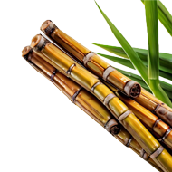 Bamboo Vinegar