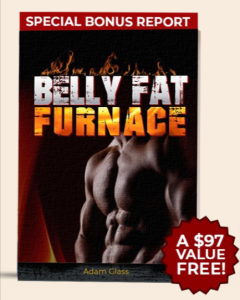 Bonus #2 Belly Fat Furnace