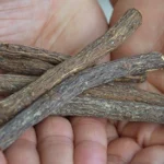 LICORICE ROOT