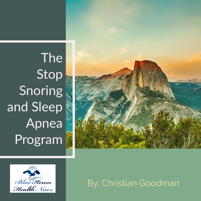 The Stop Snoring And Sleep Apnea Program