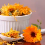 calendula